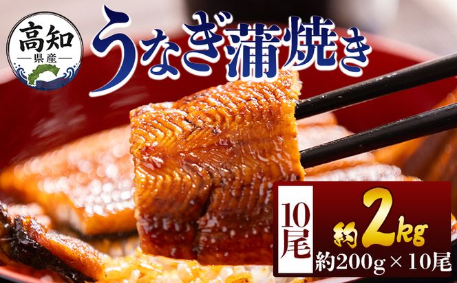うなぎ 高知県産蒲焼きうなぎ ２００ｇ １０尾 計２kg fb-0165