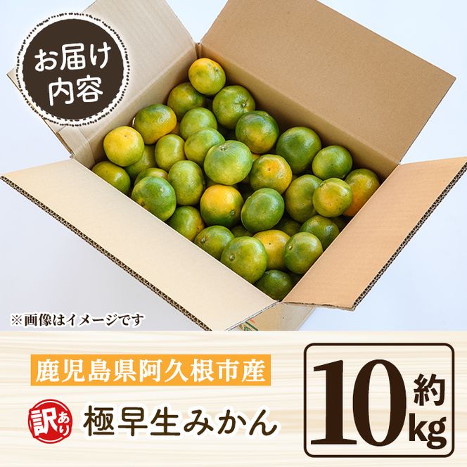 ＜先行予約受付中！2026年9月中旬以降順次発送予定＞ 訳あり！極早生みかん(約10kg) 国産 みかん 極早生 早生 柑橘 果物 フルーツ デザート 果実 期間限定 数量限定 【古田果樹園】akn093-11