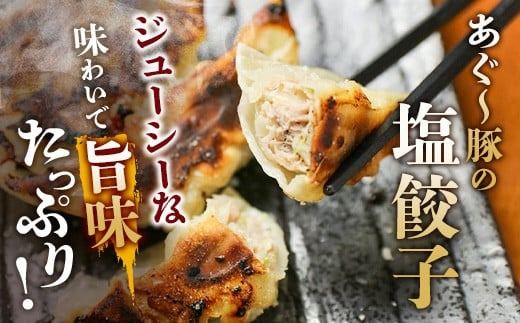 ≪餃子≫ あぐー豚 ぎょうざ 32個【 ブランド豚 アグー豚 ぎょうざ 餃子 焼き餃子 水餃子 焼餃子 沖縄県 石垣市 】GS-4