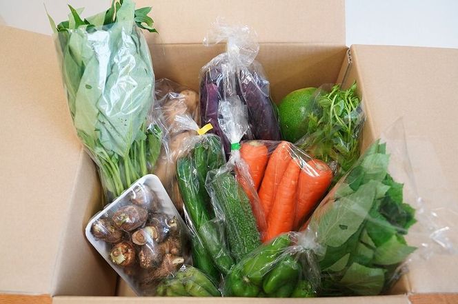 目利きのプロ 八百屋厳選 野菜詰め合わせセット（8～10種類お届け） H151-015