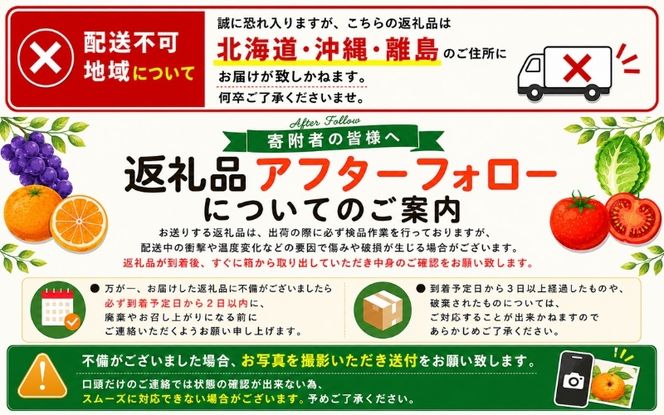 【先行予約】【国産】紀州和歌山のご家庭用訳あり 柚子（ゆず）3kg+200g(痛み補償分)　※2026年10月下旬～2027年1月下旬頃に順次発送 ※着日指定不可【ard153B】