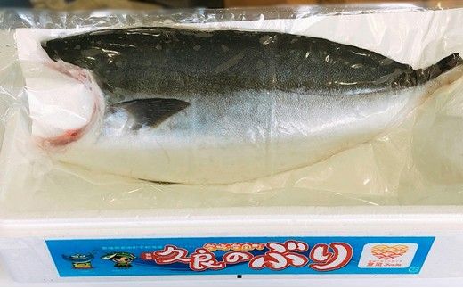 5kg 以上 の 久良 の ぶり 半身 フィレタイプ × 2枚 50000円 ぶり 鰤 ぶりしゃぶ 鰤しゃぶ ブリ たたき 丸ごと 1本 年末 年始 国産 特産品 魚介類 海産物 まるごと 刺身 鮮魚 養殖 フィレ 片身 真空 パック 冷蔵 海鮮 魚介 ブランド 魚 ぶりしゃぶ しゃぶしゃぶ 刺し身 海鮮丼 産地直送 すぶり お歳暮 年末年始 久良漁業協同組合 愛南町 愛媛県