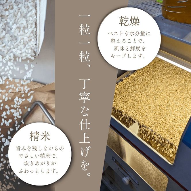 【順次発送中】◇令和7年産◇FURUCRI FARM 余市産 ゆめぴりか(精米) 150g×1袋_Y067-0305