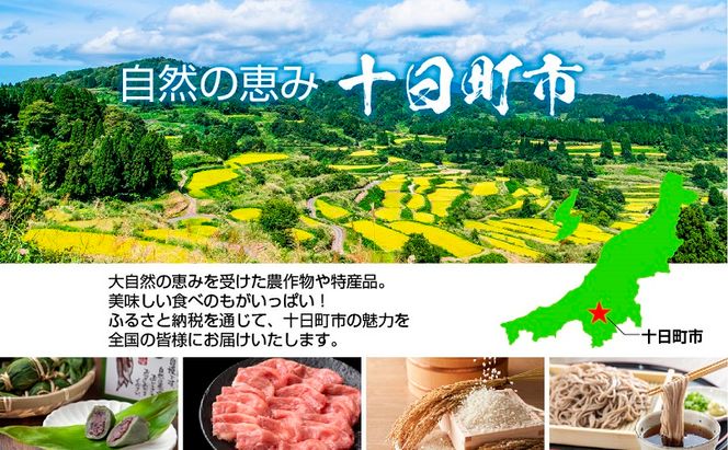 ミニ笹だんご つぶあん 20個×2袋 計40個 セット 冷凍 笹団子 銘菓 ダンゴ 新潟 お土産 餅 和菓子 もち だんご おやつ パーティー イベント ギフト お取り寄せ 新川屋 新潟県 十日町市 