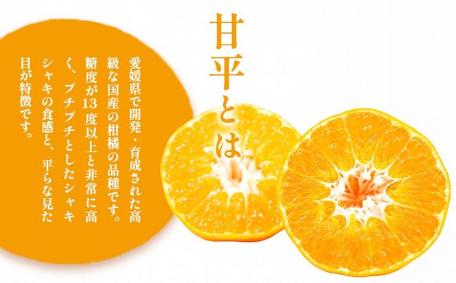 【先行予約】【数量限定】【家庭用】浅野農園の甘平（かんぺい）計5kg ※離島への配送不可（2027年2月中旬頃より順次発送予定）IKTAC027