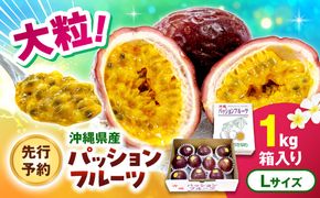 【2027年発送】【先行予約】 沖縄県産パッションフルーツ (1kg箱入り)／南国フルーツ 国産 果物 ギフト 産地直送 お取り寄せ 沖縄産 沖縄市 / ちゃんぷる～市場 [BCAA009]