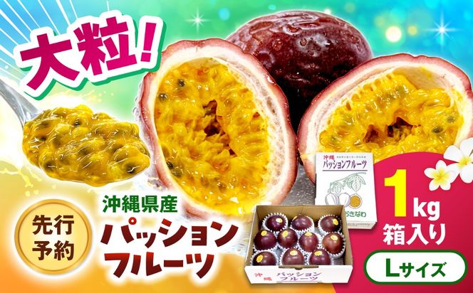 【2027年発送】【先行予約】 沖縄県産パッションフルーツ (1kg箱入り)／南国フルーツ 国産 果物 ギフト 産地直送 お取り寄せ 沖縄産 沖縄市 / ちゃんぷる～市場 [BCAA009]