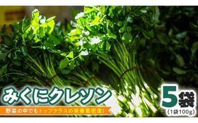 みくにクレソン100g×5袋 美容 健康 野菜 スーパーフード クレソン [CY001ci]