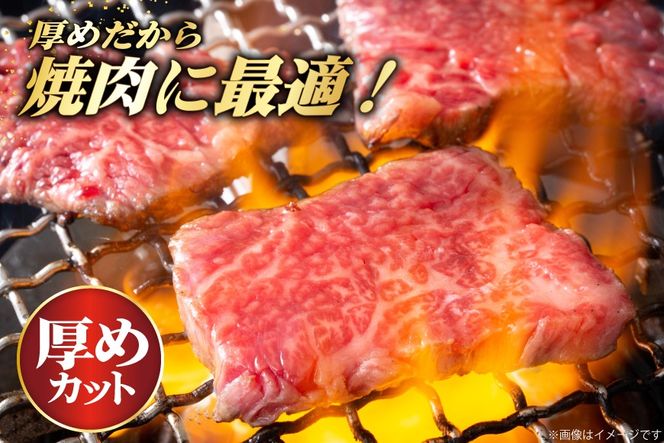 牛肉 宮崎和牛 切り落とし 焼肉 300g [道の駅「日向」物産館 宮崎県 日向市 452061758] 切落し 黒毛和牛 宮崎県産 厚め カット 焼き肉 国産 ふるさと納税 冷凍 肉 牛 きりおとし