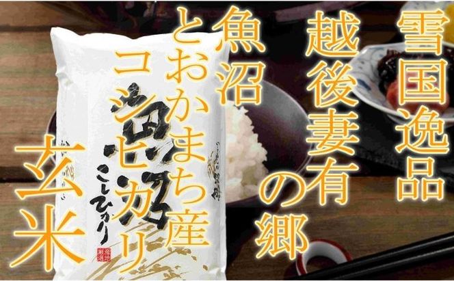 【令和8年産 先行予約】●定期便・玄米●【雪国逸品10kg×12ヶ月】 越後妻有の郷 魚沼十日町産コシヒカリ お米 ご飯 良質 ミネラル 極上 新鮮 香り つや 粘り