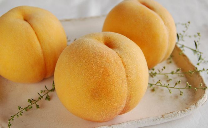 桃 2027年 先行予約 黄金桃 3玉 合計約900g （1玉約300g） もも モモ 岡山 国産 フルーツ 果物 ギフト 桃茂実苑
