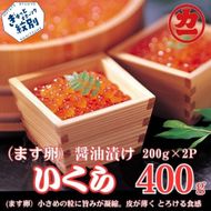 17-285 鱒いくら醤油漬け200g×2パック 合計400g
