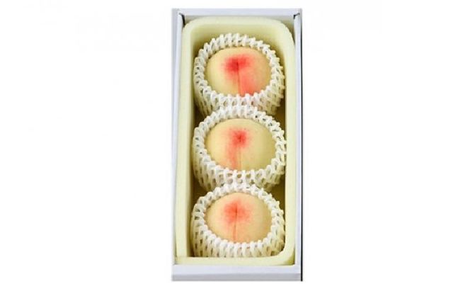 桃 2026年 先行予約 岡山の 白桃 大玉3玉（晩生種）（1玉約300g） もも モモ 岡山県産 国産 フルーツ 果物 ギフト