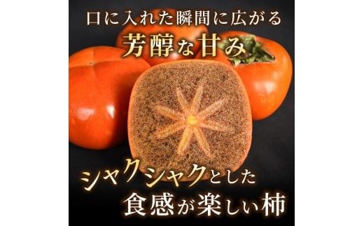 【先行予約】紀の川柿 （果実の中身が黒い！黒蜜柿）希少栽培！ 秀品６個～９個 こだわり農家厳選！【2026年10月上旬から11月上旬頃発送】/ 和歌山県 かつらぎ町 カキ 柿 紀ノ川柿 秀品 紀の川柿 かき フルーツ 旬 秋【kgr044】