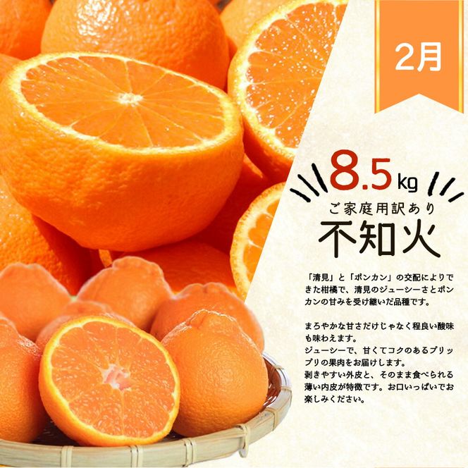 G60-T81_【定期便 全3回】紀州和歌山産 旬のご家庭用 柑橘セット（みかん・不知火・レモン）