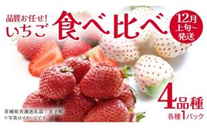 いちごの 食べ比べ 4品種×1パック【2026年12月上旬発送開始】(茨城県共通返礼品：大子町) いちご 苺 果物 フルーツ 果実