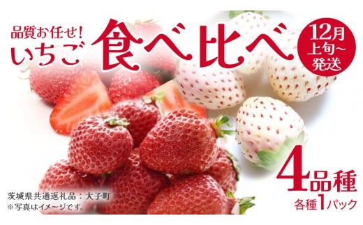 いちごの 食べ比べ 4品種×1パック【2026年12月上旬発送開始】(茨城県共通返礼品：大子町) いちご 苺 果物 フルーツ 果実