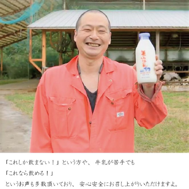牛乳 定期便 6ヶ月 京都 美山牛乳 200ml ×5本 珈琲牛乳 ×5本 詰め合わせ セット 美山町 お取り寄せ コーヒー牛乳 パック 紙パック 200mL 定期 お楽しみ 6回 ※北海道・沖縄・離島への発送不可 