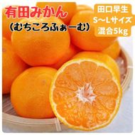 有田みかん 早生S～Lサイズ混合 約5kg【2025年発送 先行予約】  	ER03