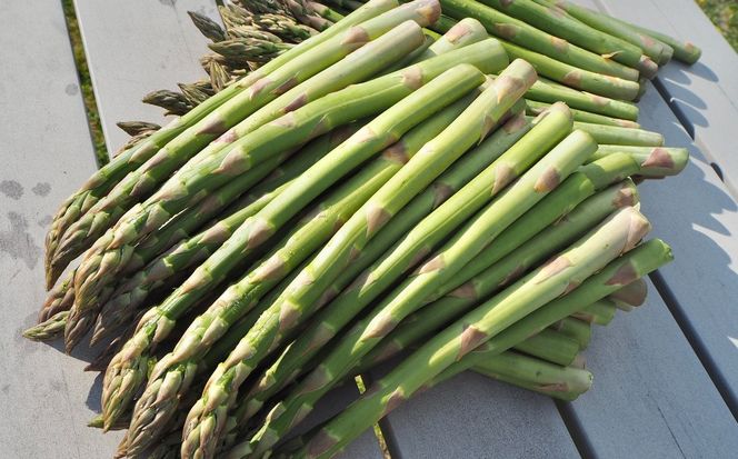 【5月中旬以降発送】鹿追産アスパラ（2kg）・よつ葉チーズ・バターセット SKA017