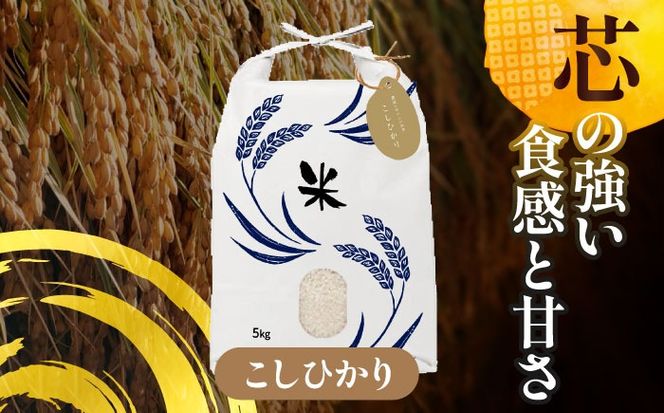 令和6年産　愛知県産　コシヒカリ・にこまる　白米　各5kg　特別栽培米　お米　ご飯　愛西市／戸典オペレーター[AECT006]