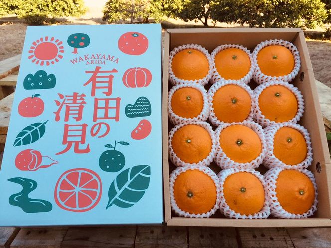 ZE6117n_有田の不知火(しらぬひ) 4kg　12玉～28玉（S～3Lサイズ混合）まごころ手選別