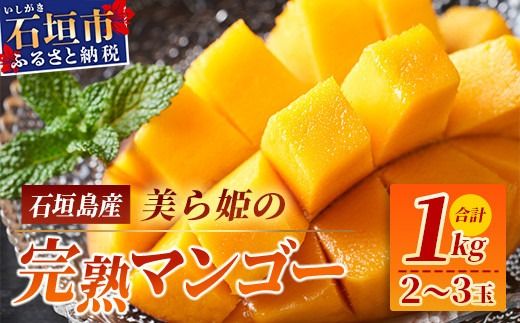 yꌧΊ_szm\tnP}S[1kginEA[EBj2026N7{`y Yn ꌧ Ί_s }S[ t[c ʕ 썑 Ί_ zCB-1