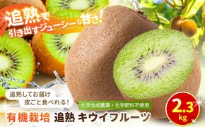 【先行予約】【有機栽培】追熟 キウイフルーツ 2.3kg【2026年12月上旬～2027年3月上旬発送】 142069_BW002