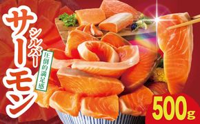 010B1969 【お試し】サーモン 500g ポーション【訳あり サイズ不揃い 刺身 海鮮丼 さーもん サラダ カルパッチョ 鮭 さけ シャケ しゃけ 人気 小分け 冷凍 家計応援】