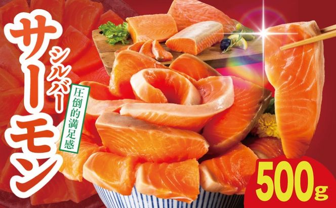 010B1969 【お試し】サーモン 500g ポーション【訳あり サイズ不揃い 刺身 海鮮丼 さーもん サラダ カルパッチョ 鮭 さけ シャケ しゃけ 人気 小分け 冷凍 家計応援】
