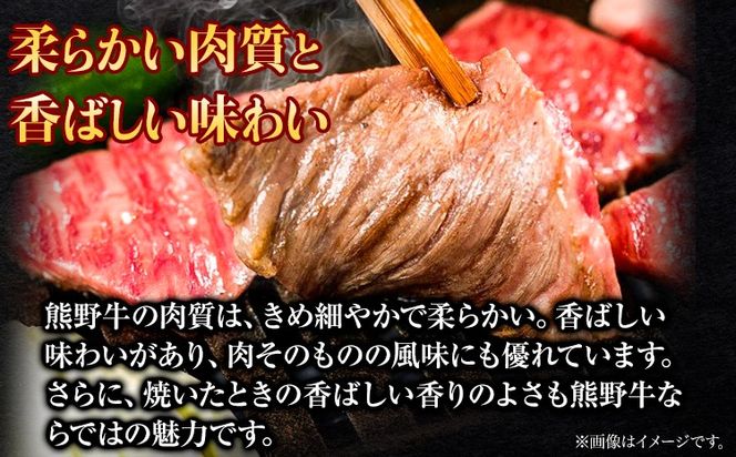 牛肉 熊野牛 肩ロース 焼肉用 600g 株式会社Meat Factory《30日以内に出荷予定(土日祝除く)》和歌山県 日高川町 熊野牛 牛 和牛 焼肉 ロース カタ---wshg_fmfy25_30d_24_23000_600g---