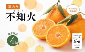 【先行予約】Saito Orange Farmの訳あり不知火4kg ｜ 柑橘 みかん ミカン フルーツ 果物 でこぽん デコポンと同品種 愛媛　※離島への配送不可　※2025年3月中旬頃より順次発送予定