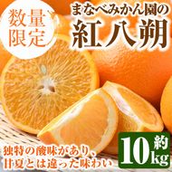 ＜先行予約受付中！2026年2月上旬以降順次発送予定＞まなべみかん園の紅八朔(約10kg) 国産 鹿児島県産 阿久根市産 柑橘類 みかん ミカン 蜜柑 果物 フルーツ べにはっさく 期間限定 数量限定 贈答用 ギフト デザート【有限会社まなべみかん園】a-16-64-z