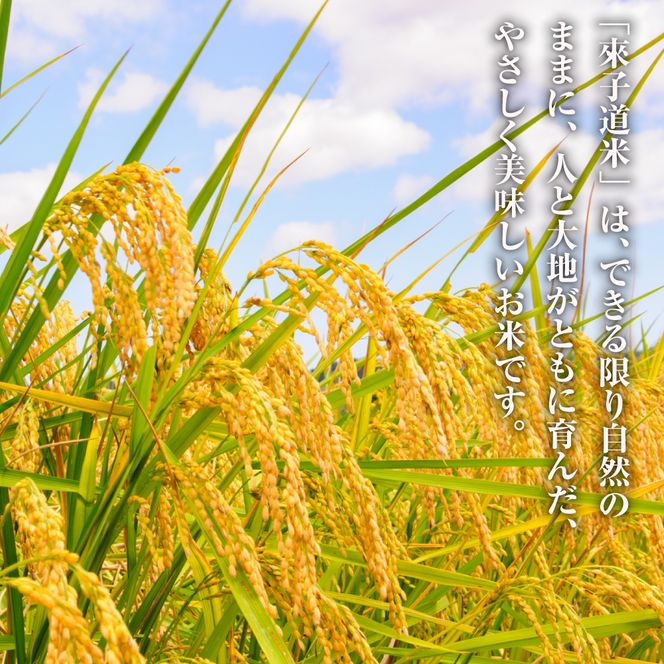 來子道米 ～きしどうまい～ 450g×3個 【栽培期間中、無農薬無肥料】 白米