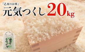 令和6年産「乙女のお米」元気つくし ２０kg