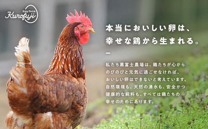 オーガニック卵セット　B-5