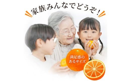 みかん せとか ご家庭用 たにぐち農園の せとか 4.5kg 大小混合【2026年3月から4月上旬までに順次発送】 / 家庭用 ご家庭用 せとか みかん 蜜柑 サイズ 不揃い【mtn012C】