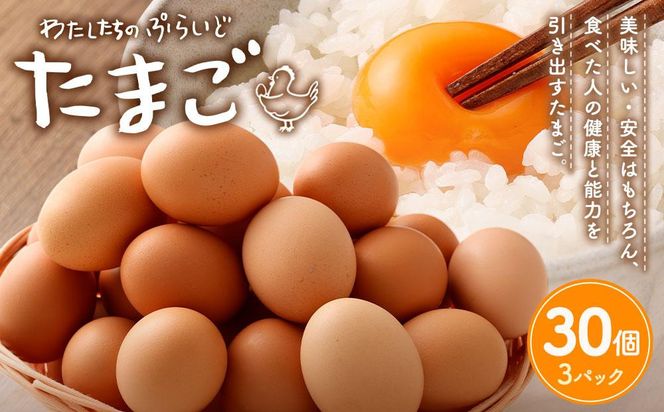 ＜先行予約＞【定期便：6か月】【食べチョクアワード2025 畜産部門 1位の日本一のたまご】単なる平飼いではない究極の卵『わたしたちのぷらいどたまご』3パック（30個）セット 141305_GX03