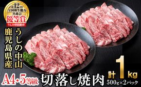 ＜A4・A5等級＞鹿児島県産黒毛和牛 うしの中山 切り落とし焼肉用 計1kg(500g×2P) c4-015