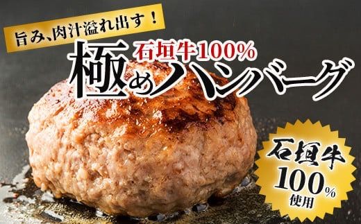 石垣牛 100% 極めハンバーグ 150g×5個 ≪肉職人が作ったこだわりハンバーグ≫ 【石垣牛 沖縄県 石垣市 石垣島 牛肉 牛 肉 黒毛和牛】 TM-5