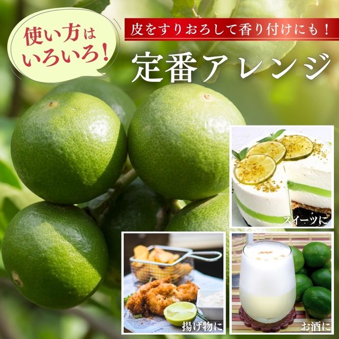 わけあり レモン1kg+250g（傷み補償分）【和歌山有田産】【防腐剤・WAX不使用、安心の国産レモン】【わけあり・訳ありレモン】※北海道・沖縄・離島への配送不可 / レモン 果物 くだもの フルーツ【ikd135B】