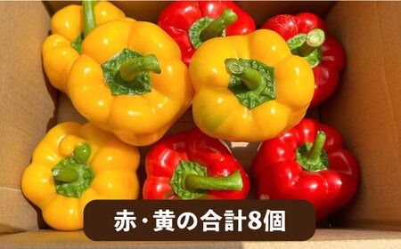 yszY  pvJ 8  s / V[u [AHC031]  ₳ pvJ s[}   sNX }l l