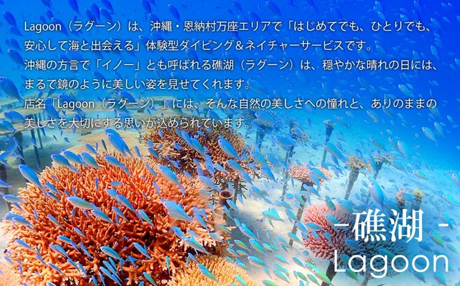 沖縄ダイビングサービス Lagoon商品券「3,000円分」