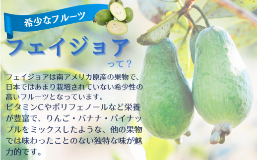 ＼無添加／農家さんの手作りジャム　フェイジョアジャム3本セット【aym003】