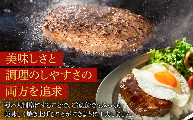 神奈川県産和牛 阿夫利牛のハンバーグ 1.4kg【 牛肉 和牛 神奈川県 小田原市 】 142069_GV003