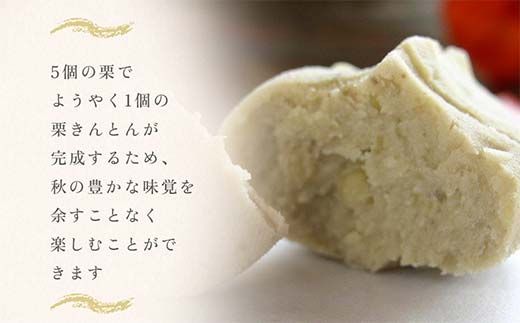 ＜御菓子司梅園＞ 栗きんとん10個 【10月お届け】 栗きんとん 和菓子 菓子 スイーツ 秋 限定 詰め合わせ 冷蔵 岐阜県 F4N-3039