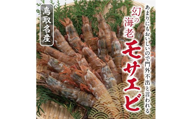 鳥取産 冷凍モサエビ 312011_CB001