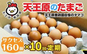 【定期便】10回定期 【天王原のたまご】 サクセス卵160個入り【定期便 10回定期便 セット たまご 卵 玉子 タマゴ 濃厚 ハリ 弾力 ボリューム 甘味 旨味 卵黄 風味 生 コク 甘味 卵かけご飯 卵焼き 目玉焼き オムレツ 茶碗蒸し お菓子作り パンの材料】