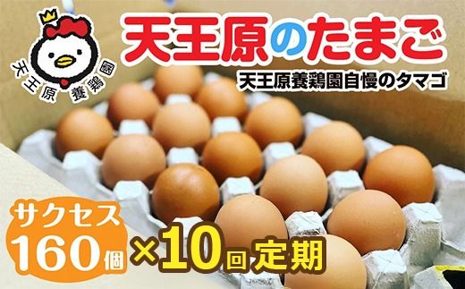 【定期便】10回定期 【天王原のたまご】 サクセス卵160個入り【定期便 10回定期便 セット たまご 卵 玉子 タマゴ 濃厚 ハリ 弾力 ボリューム 甘味 旨味 卵黄 風味 生 コク 甘味 卵かけご飯 卵焼き 目玉焼き オムレツ 茶碗蒸し お菓子作り パンの材料】