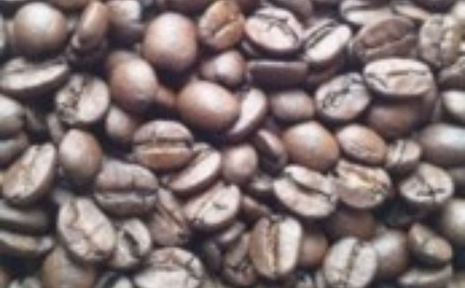 木炭焙煎珈琲豆 500g×2種セット 1ｋg コーヒー豆 コーヒー粉 